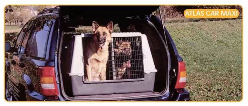 Ferplast Atlas Car Maxi Transportbox